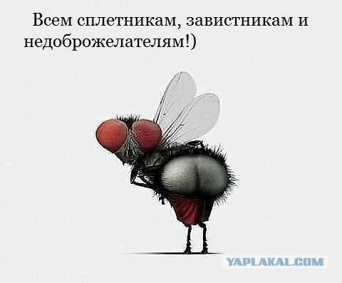 Веселые картинки