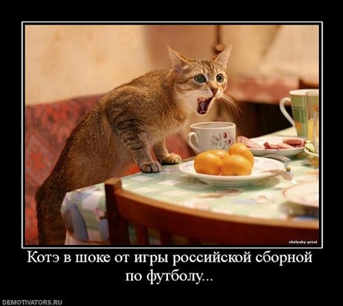 Те, кого подвела сборная России
