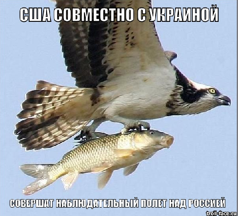 Перемирие кончилось, едва начавшись. часть 6