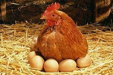 Аццкая кухня