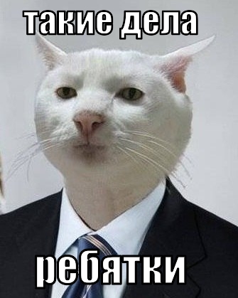Митинг "Памяти Карины" пытаются сорвать Коньковы!