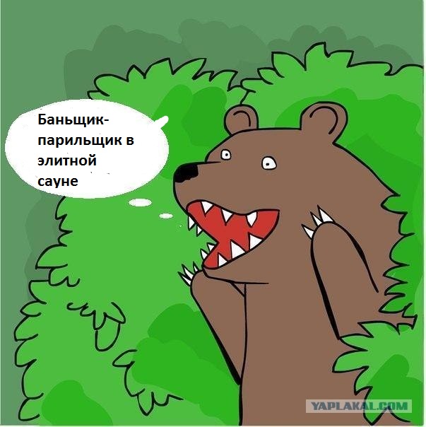 Как я работал банщиком-парильщиком в элитной сауне