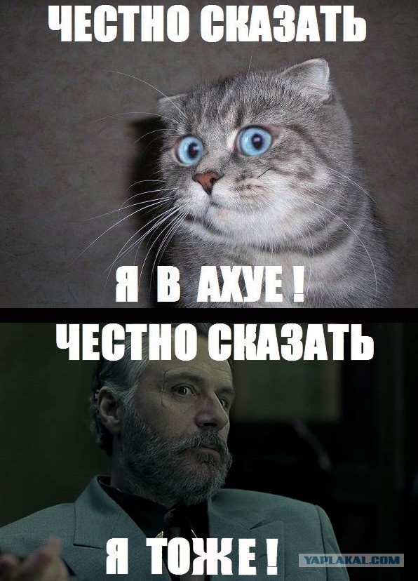 О тараканах в женских головах. Часть 7