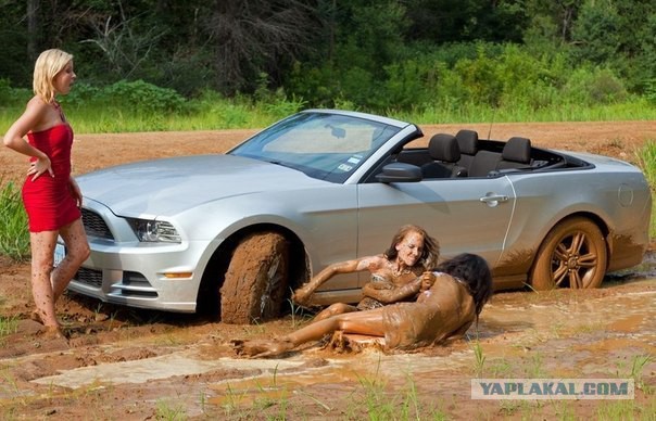 Ужасы и приколы, говорите?