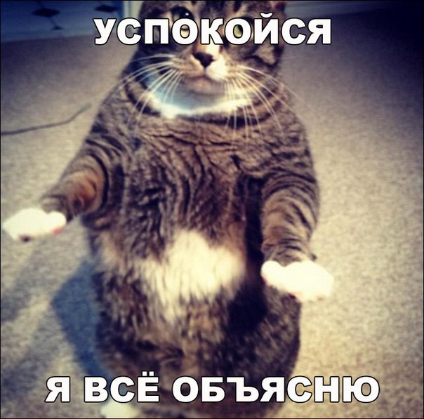 Мохнатые беспредельщики