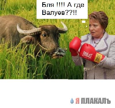 Фотожаба: Валуев и Матвиенко