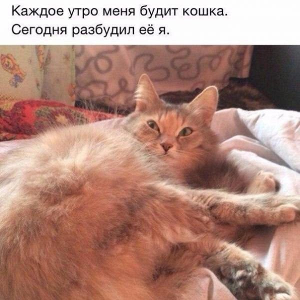 Подборка приколов