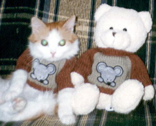 Зимний котомёт