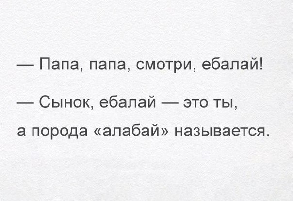 Смешные комментарии из социальных сетей 05.08.2016