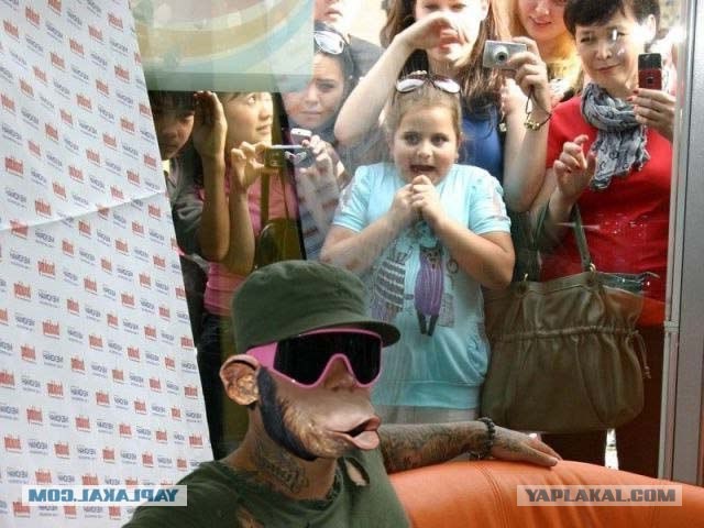 Коротко о том, как открыли первый мак в Томске