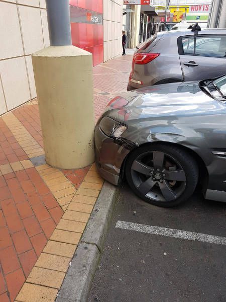 Картинки и приколы из сети