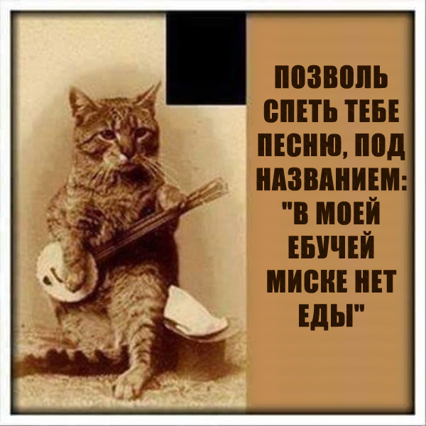 Юмор не для всех