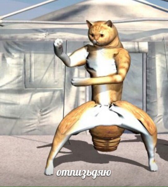 Сборище абсурда