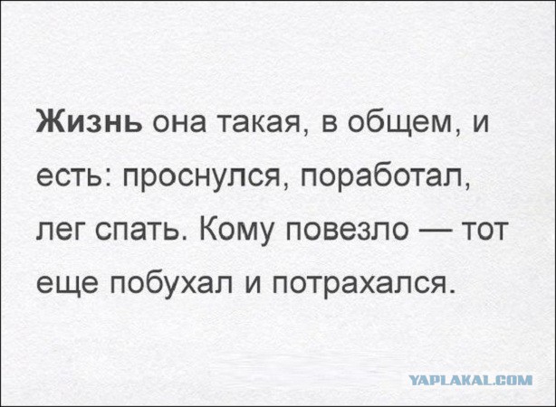 Смешные комментарии из социальных сетей 14.10.2016
