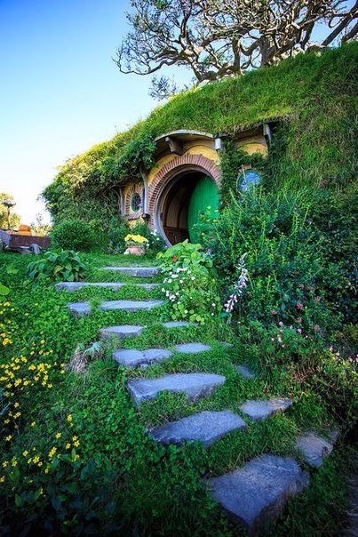 Немного картинок из этих ваших интернетов