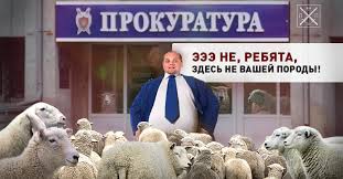 «Нас не вызывайте, как убьют, труп опишем!»
