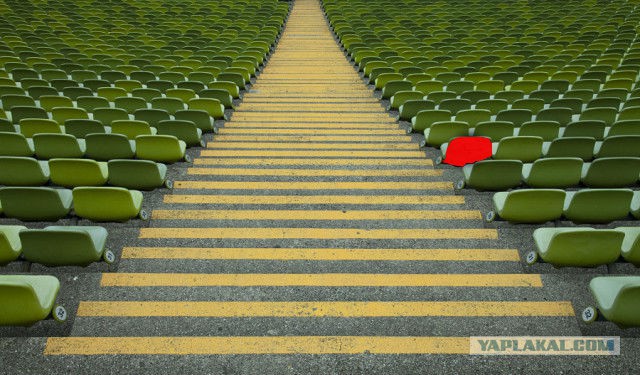 25 фотографий, которые успокоят вашего внутреннего нит-фрика