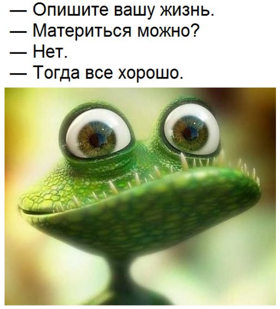 Жизнь как она есть 2
