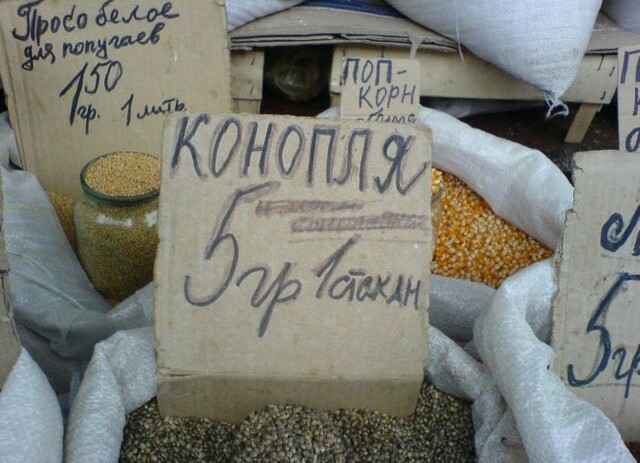 Наркотики картинки приколы