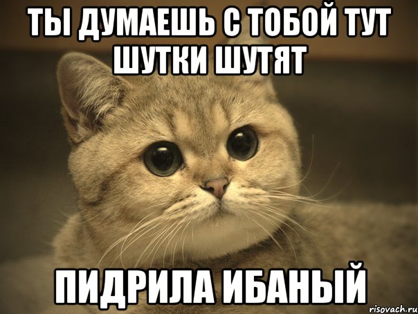 Агреcсивный сосед