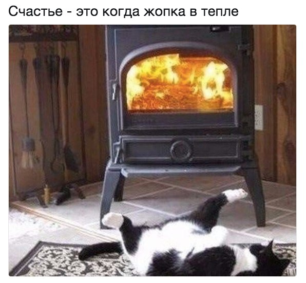 Немного фото для поднятия настроения