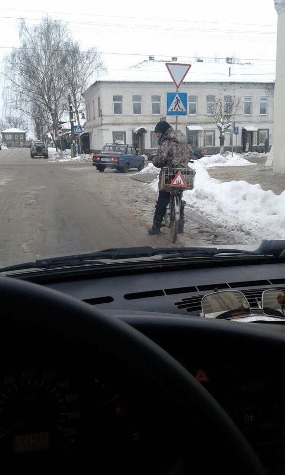 Кого только не встретишь по дороге домой