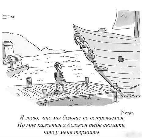 Просто юмор #26