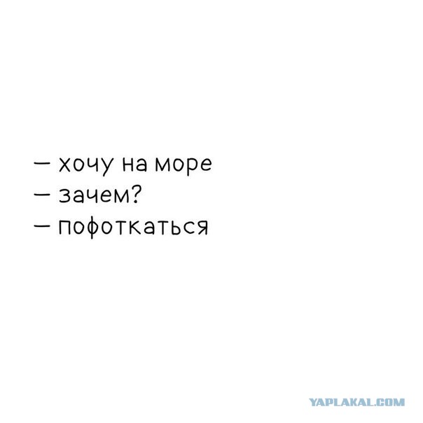 Смешные комментарии из социальных сетей 03.08.2018