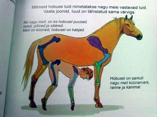Чернушки вот вам принёс