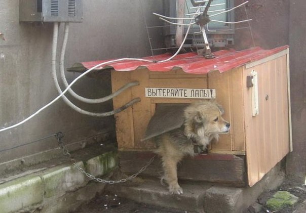 Прикольные надписи и объявления