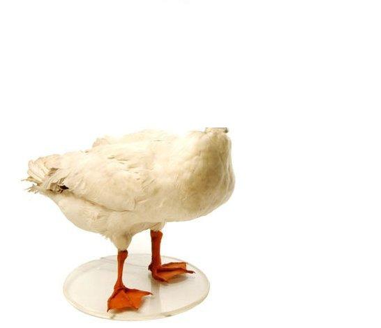 Угадайки