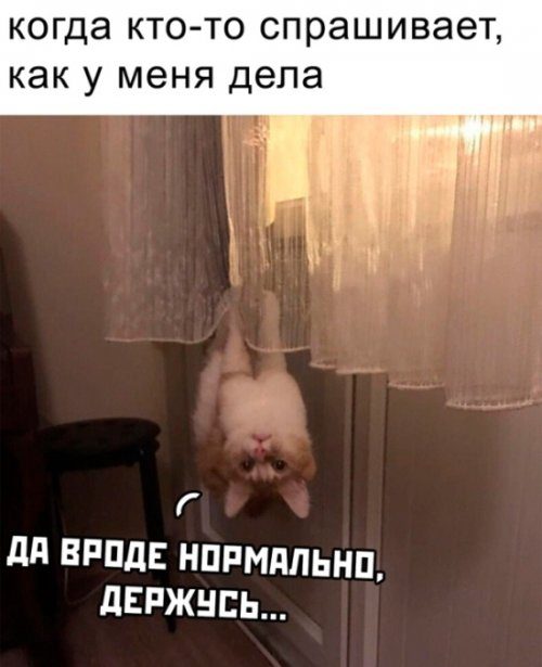 Немного картинок с надписями и без - 25