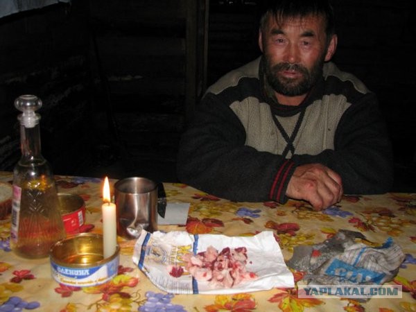 Экспедиция в Северную Тайгу
