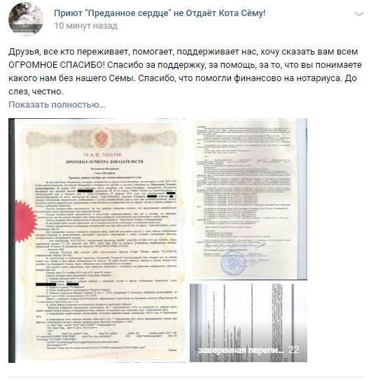Помогите вернуть кота! Приют "Преданное сердце" украл кота и не отдает!