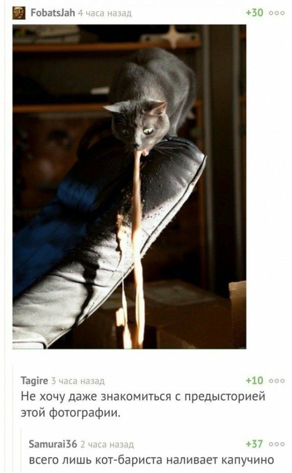 Бредзона картиночная