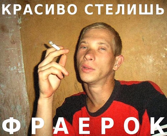 В Петербурге таксист отказался везти женщину с собаками, потому что животные были без переноски. Начался конфликт
