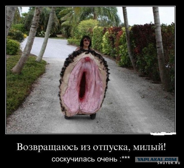 Чуток картинок 25.04.20