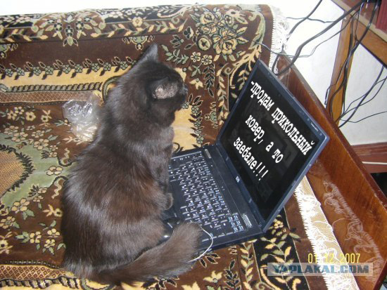 Фотожаба: Прикольный ковер!