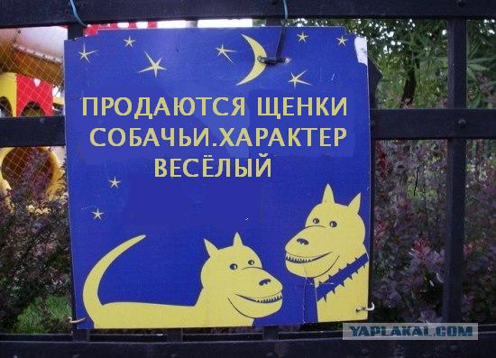 Фотожаба: Ночью парк стережем мы!