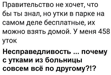 Бредзона