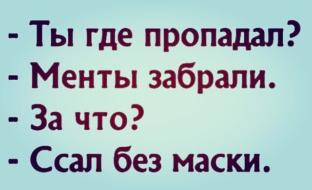 Фотки и картинки: юморные и красивые, забавные и милые 17.11.20