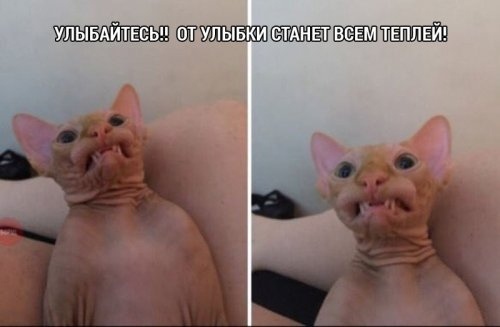 От светло серого до чёрного 4.0