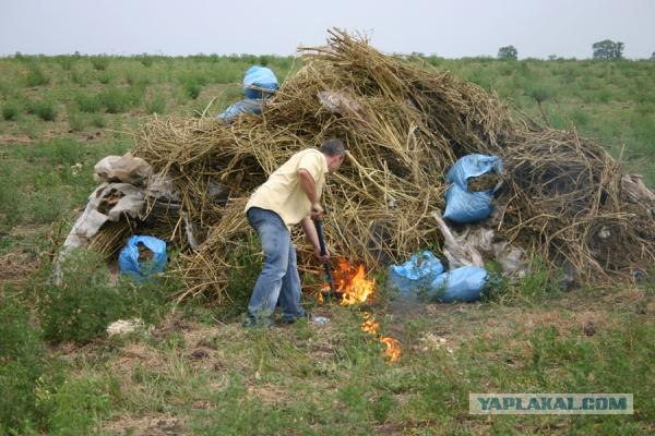 Белорусская продукция