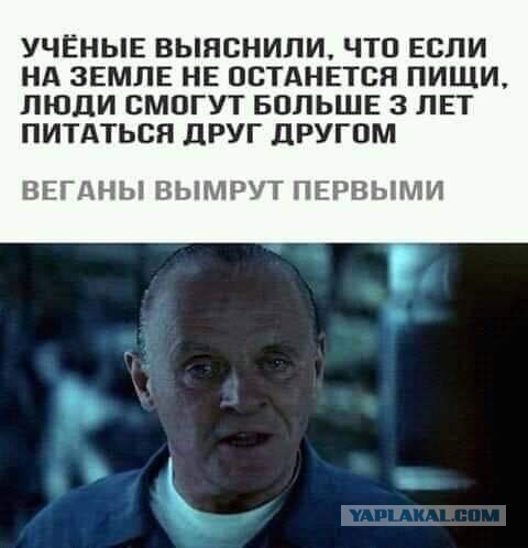 На свадьбу веганов зарезали кабачок