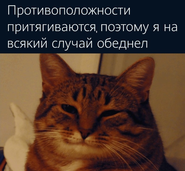 Картинки и мемы для настроения 01.06.2021