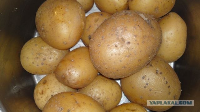 Картофельный рулет с мясным фаршем и грибами