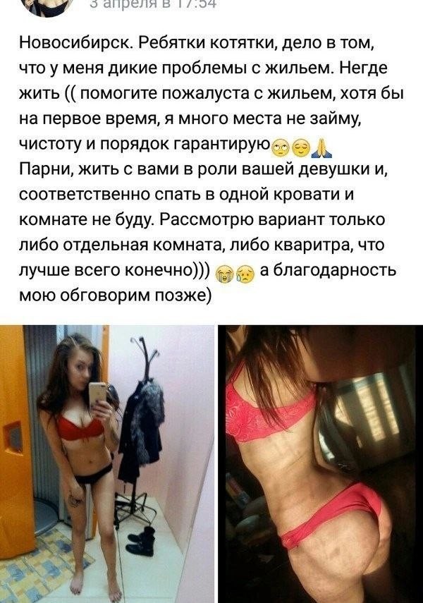 Разбавить политу на ЯП