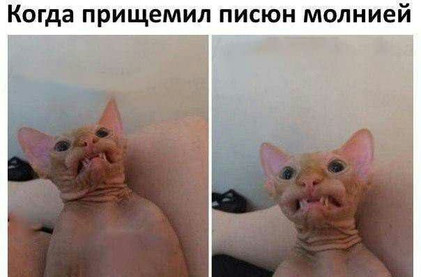 Чернуха на среду!