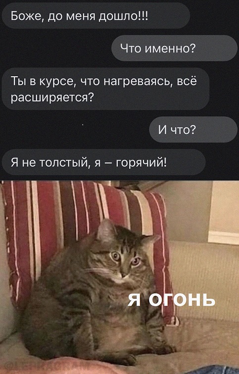 Пандемия съехавших крыш. Разновидности болезни. Россия и мир. Часть 36