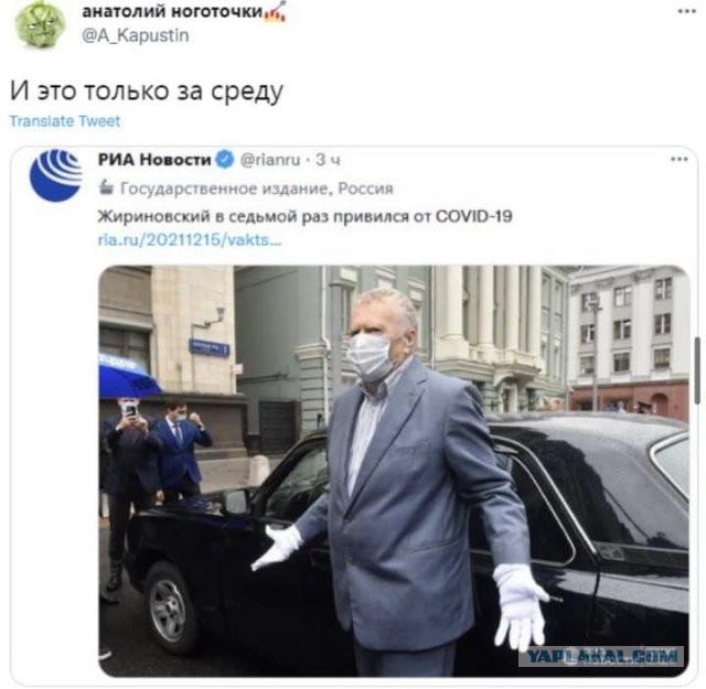 Пандемия съехавших крыш - разновидности болезни. Россия и мир. Часть 44.
